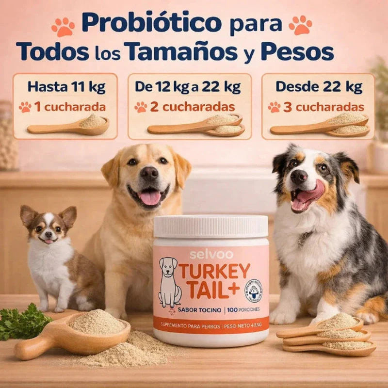 Probiotico Mascota Turkey Tail